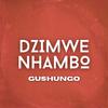 Gushungo - Musha Wangu