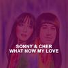 Sonny & Cher - Let It Be Me
