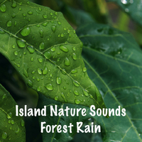 Island Nature Sounds