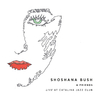 Shoshana Bush - Since I Fell for You (Live) [feat. Isamu McGregor, Larry Koonse, David Robaire & Gene Coye]