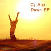 Cj Aist - Autumn Leaf