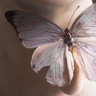 希望你的等待都是有结果的