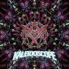 Madd Maxxx - Kaleidescope Sampler