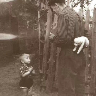 欧美男声｜听觉的慢性麻醉药