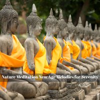 Nature Meditation New Age Melodies for Serenity