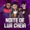 MC Menor Da ZS - Noite de Lua Cheia