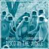 AtalaiA - Disco In The Jungle