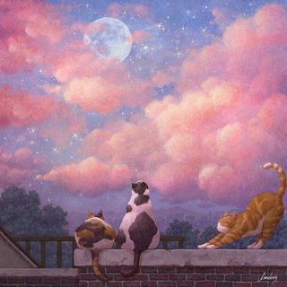 我填平了整个山海却发现你在云端