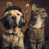 Mind Matters - Harmonious Animal Tunes