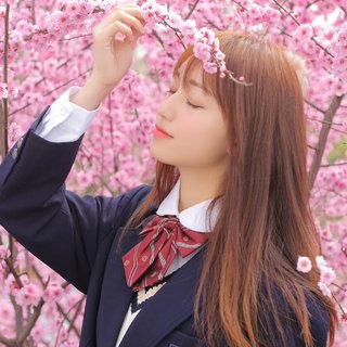 春暖情长｜甜味小调，浪漫幻想