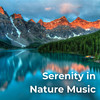 Nature Sounds Natural Music - Ascension (Sound Bath)