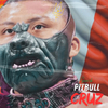 Sieck - Pitbull Cruz