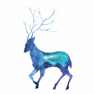 『ACG轻律钢琴｜泉与浮光』