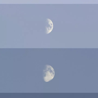 垂直活著水平留戀著