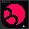 Bruce Banner - Voname (Original Mix)
