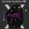 Richard Steinschlag - Metaphoric