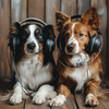 Dogs - Canine Calm Chorus