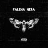 Zuri - Falena Nera