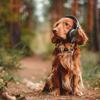 Relaxing Dog Music Playlists - Paw Tap Harmony