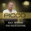 Picco - Back to Hawaii (Funky Radio Edit)