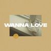 Todd Carey - Wanna Love