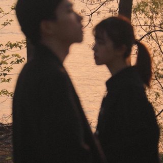 爱意东升西落 浪漫至死不渝