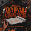 Shana B - No Pad No Pencil