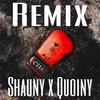 Quoiny - Can't Tell It All (feat. Hulvey & Shauny) (Remix by Quoiny, Shauny)