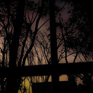 你不是我啊 所以不太明白我对你的意义