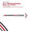 DJ Snowman - Back On Track (Addex Remix)