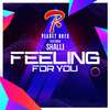 Planet Rock - Feeling for You