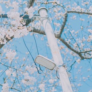 日系恋歌 | 好想一直和你在一起