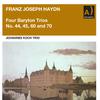 Johannes Koch - Baryton Trio No. 44 in D Major, Hob. XI:44: II. Adagio (Remastered 2022)