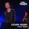 Ozark Henry - Deze Is Voor Mij - Uit Liefde Voor Muziek (Live)