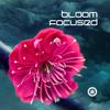 Bloom Focused - For You