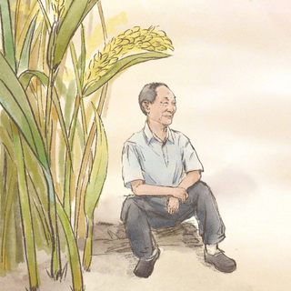 送别袁隆平院士｜侠之大者，为国为民