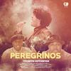 Vicente Cifuentes - Peregrinos