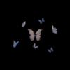 RND - Butterfly