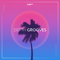 Depth Grooves, Vol. 5
