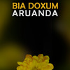 Bia Doxum - Aruanda (Ao Vivo)