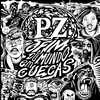 PZ - Fim