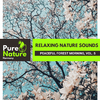 Nature Love Line Library - Cool Breeze after Rain Soundtrack