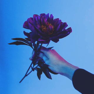 『西语精选』♬ La Música Española ♬