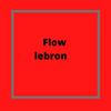 Nosalen - Flow Lebron