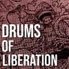 TheManBeHisLa - Drums of Liberation