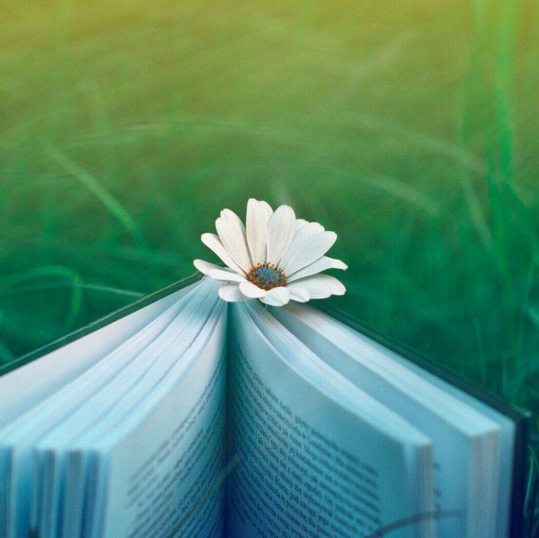 华语 流行 清新 介绍: 青春是一本书,故事越翻越少  青春是一缕阳光