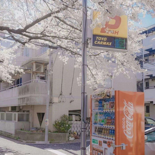 [日系]"就 漫无目地喜欢你"