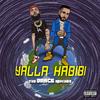 R-Mean - Yalla Habibi (Dainjazone Electro Remix)