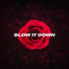 Shy Ink - Slow it Down (Rose Version)