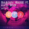 Damian Wasse - Mystery (Dub Mix)